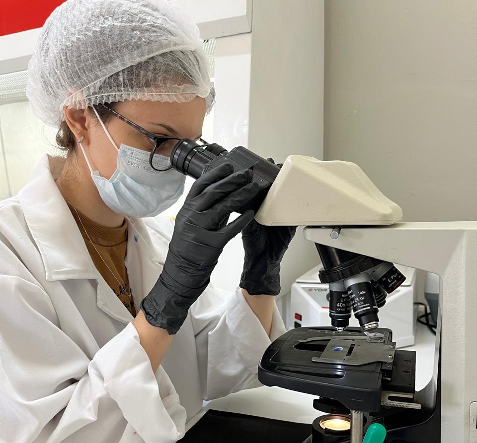 Ensaios com Novos Microrganismos AC2